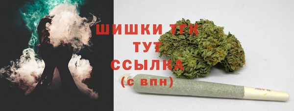 прущий лед Пересвет